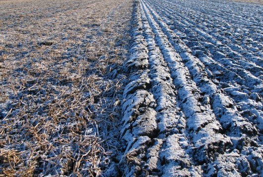 grondbewerking_530x357.jpg grondbewerking_530x357.jpg