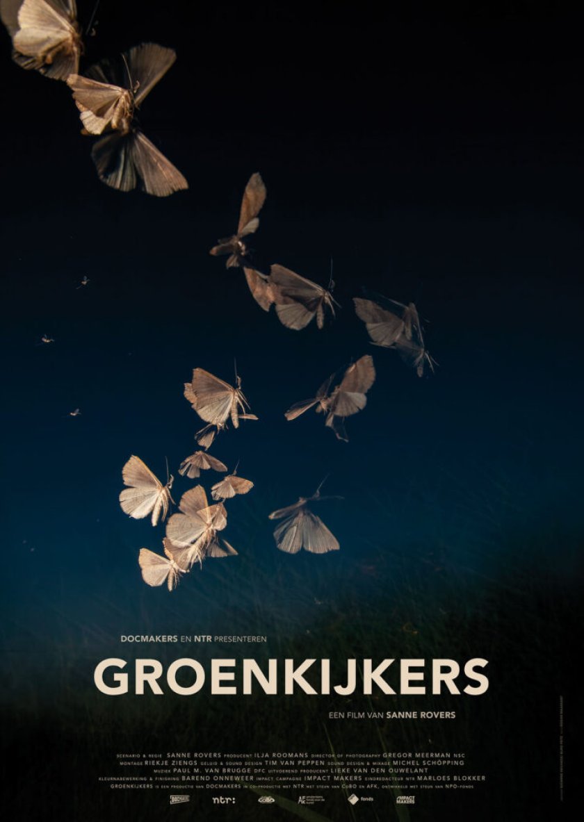 Groenkijkers filmposter Groenkijkers filmposter