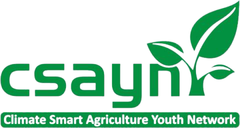 CSAYN.png CSAYN.png