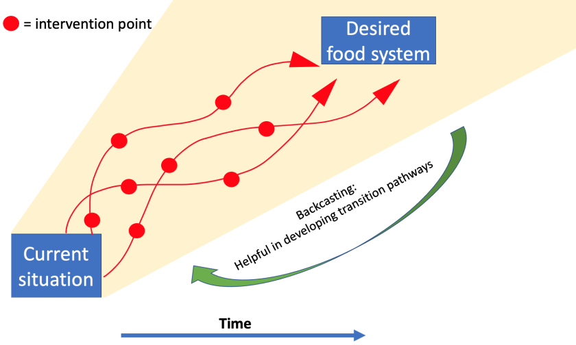 Figure 3: Back casting is helpful for developing transition pathways towards desired food systems.  Figure 3: Back casting is helpful for developing transition pathways towards desired food systems.