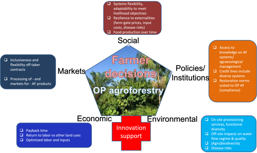 Factors underlying scaling of Oil Palm Agroforestry in the Brazilian Amazon  Factors underlying scaling of Oil Palm Agroforestry in the Brazilian Amazon