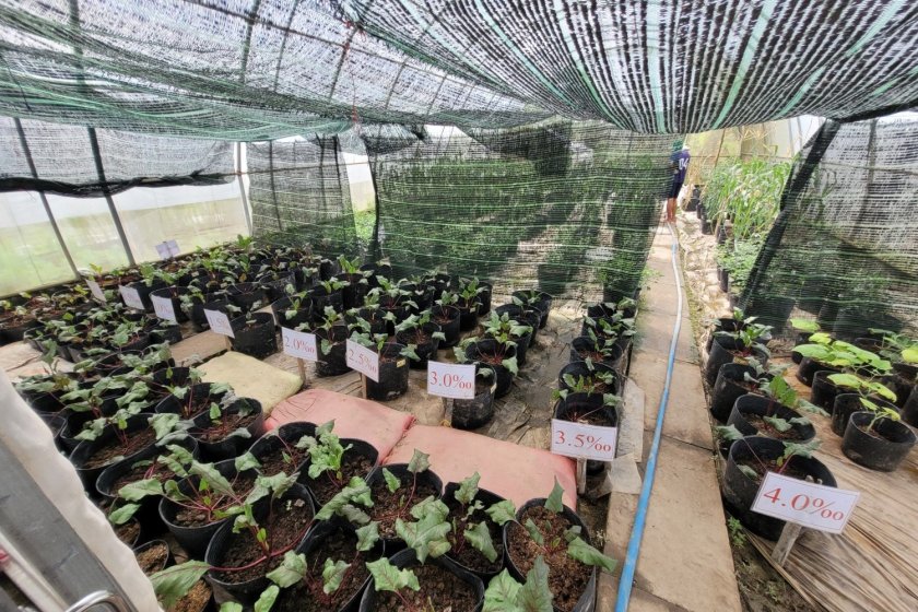 Read  more about crop level Read  more about crop level